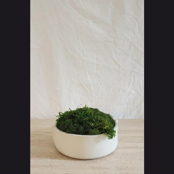 HANDMADE Preserved Moss Bowl Centerpiece